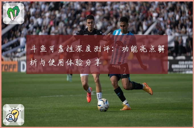 斗鱼可靠性深度测评：功能亮点解析与使用体验分享