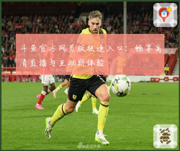 斗鱼官方网页版极速入口：畅享高清直播与互动新体验