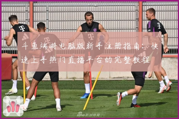 斗鱼端游电脑版新手注册指南：快速上手热门直播平台的完整教程