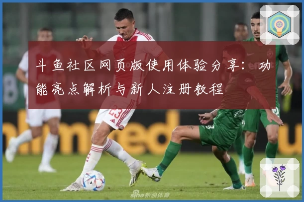 斗鱼社区网页版使用体验分享：功能亮点解析与新人注册教程