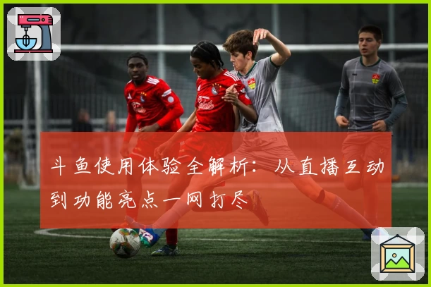 斗鱼使用体验全解析：从直播互动到功能亮点一网打尽