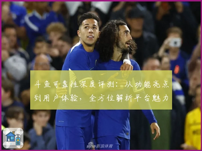 斗鱼可靠性深度评测：从功能亮点到用户体验，全方位解析平台魅力与安全保障